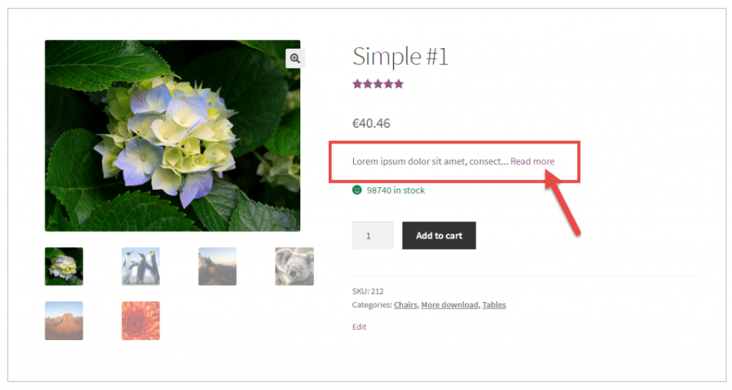 WooCommerce: limiter la description courte avec le bouton «Lire la suite»