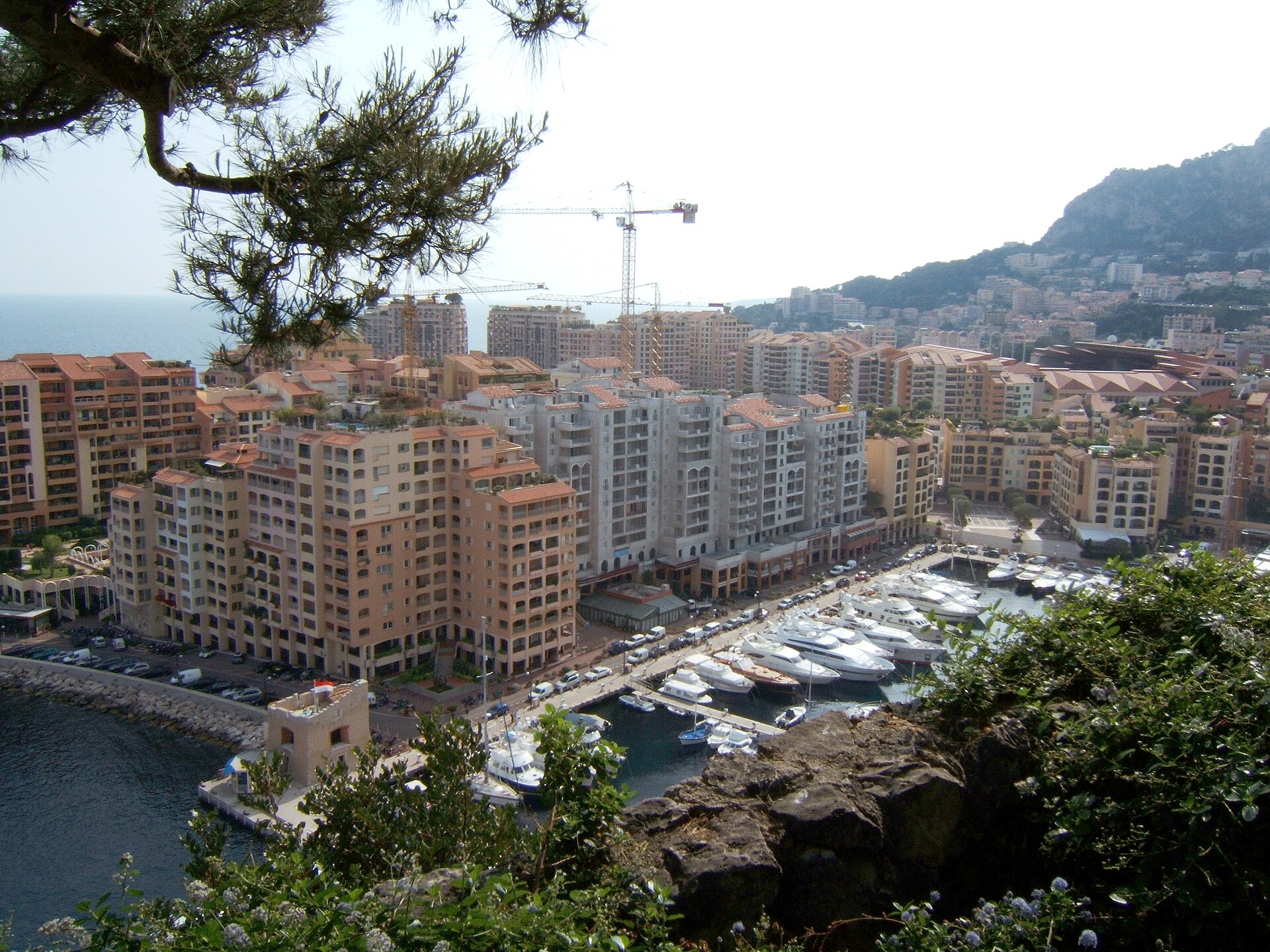 « Test in Monaco » : MonacoTech transforme la Principauté en terrain d’essai pour les start-up